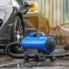 Detailing Accessories