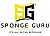 Sponge Guru