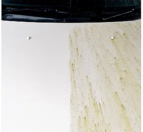 Auto Finesse - Dynamite Traffic Film Remover
