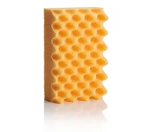 Sponge Guru Ultimate Profile Sponge