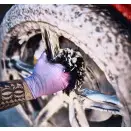 YUM - Wheel Mitt